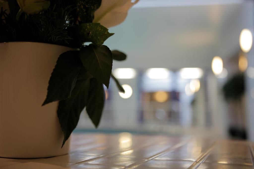 The Red Lea Hotel Скарборо Екстер'єр фото